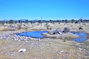 Wasserstelle im Naturschutzgebiet Kambaku. Webcams Grootfontein