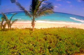 Grüne Schildkröteninsel. Bita Breeze Hotel. Webcams Bahamas