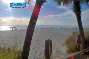 Schoner Beach Club Panama City Beach Florida Webcam online