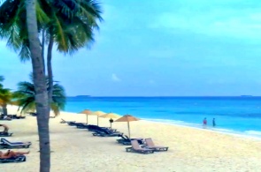 Strand auf der Insel Kuredu. Malediven-Webcams