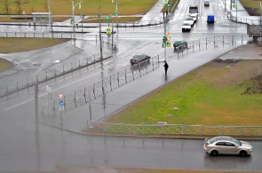 Die Kreuzung von Leningrad Street und St. Petersburg Highway. Die Webcams von Puschkin im Internet 