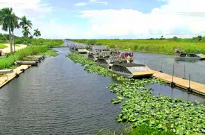 Everglades Ferienpark. Webcams Fort Lauderdale online