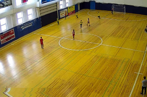 Coral Sports Palace. Petrozavodsk Webkameras online