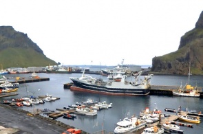 Blick auf den Hafen. Webcams Heimaey