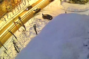 Kreuzung von Bauherren und Tschechow. Meschduretschensk Webcams online