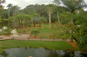 Sarasota Jungle Gardens Webcam Online