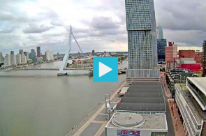 Erasmus-Brücke, Südküste. Webcams Rotterdam online