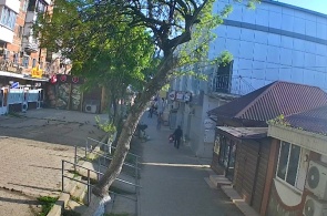 Puschkin-Gasse. Afipsky-Webcams online