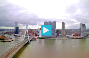 Erasmus-Brücke, Nordküste. Webcams Rotterdam online