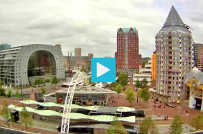 Blaak Station. Webcams Rotterdam online
