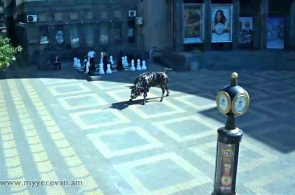 Charles Aznavour Square. Eriwan Webcam online