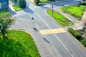 Fußgängerüberweg auf der Autobahn Strelnitsky. Webcams Krasnoje Selo
