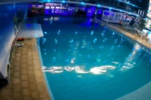 Pool mit Delfinen. Webcams NEMO Hotel Resort & SPA Odessa Online