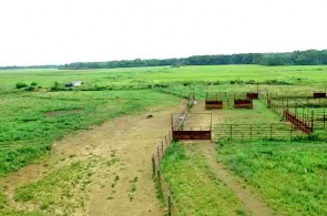 Midewin National Tallgrass Prairie. Webcams Chicago online