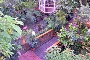 Webcam von Key West Butterfly und Nature Conservatory online