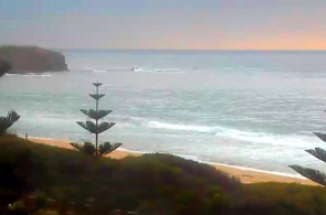 Der Strand von Wollongong. Australien Webcam online