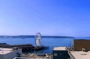 Uferpromenade des Parks. Seattle-Webcams online