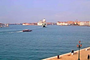 Der Markuspool lebt in Venedig