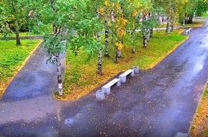 Maysky Park auf Galushina. Webcams Archangelsk
