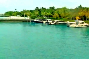 Hafen von Amilla Fushi. Malediven-Webcams