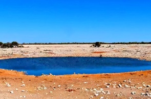 Wasserloch im Etosha-Nationalpark. Outjo-Webcams