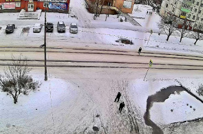 Fußgängerüberweg auf der Gogol Street. Webcams Pitkyaranta online