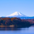 Die besten Orte in Tokio, an denen Sie endlos die Farben des Herbstes betrachten können. Teil 2