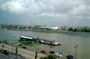 Flusspier an der Donau. Budapester Webcams online