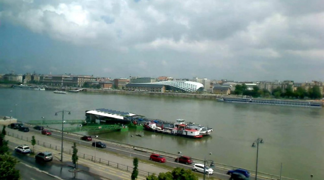 Flusspier an der Donau. Budapester Webcams online